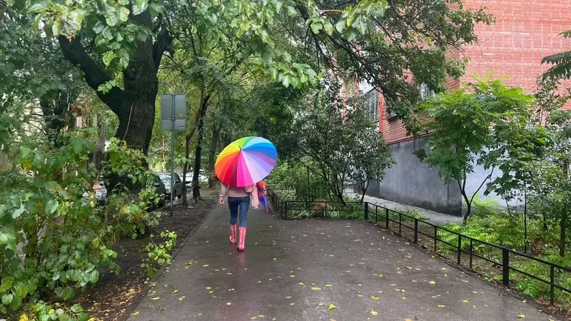 Стала известна погода на все лето 2024 года в Ростовской области
