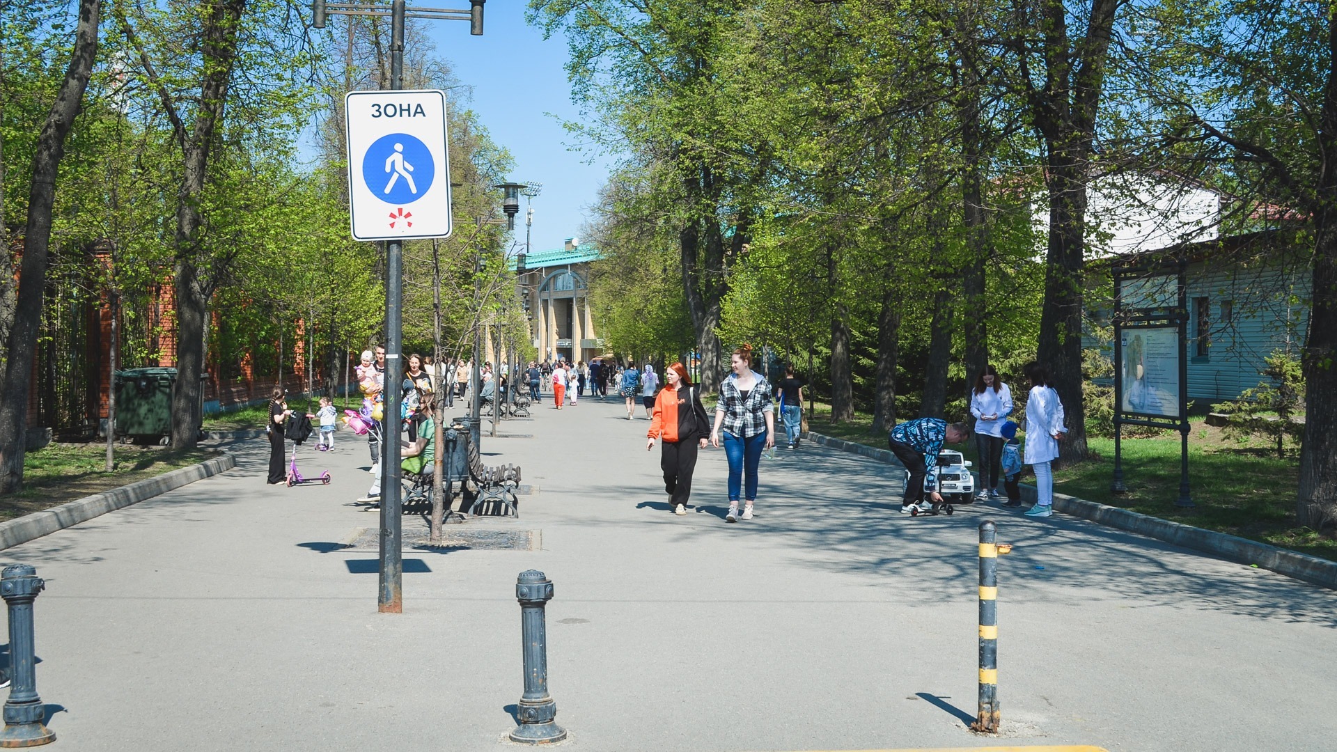 Власти собрались к 2035 году сделать Ростов-на-Дону зеленым городом