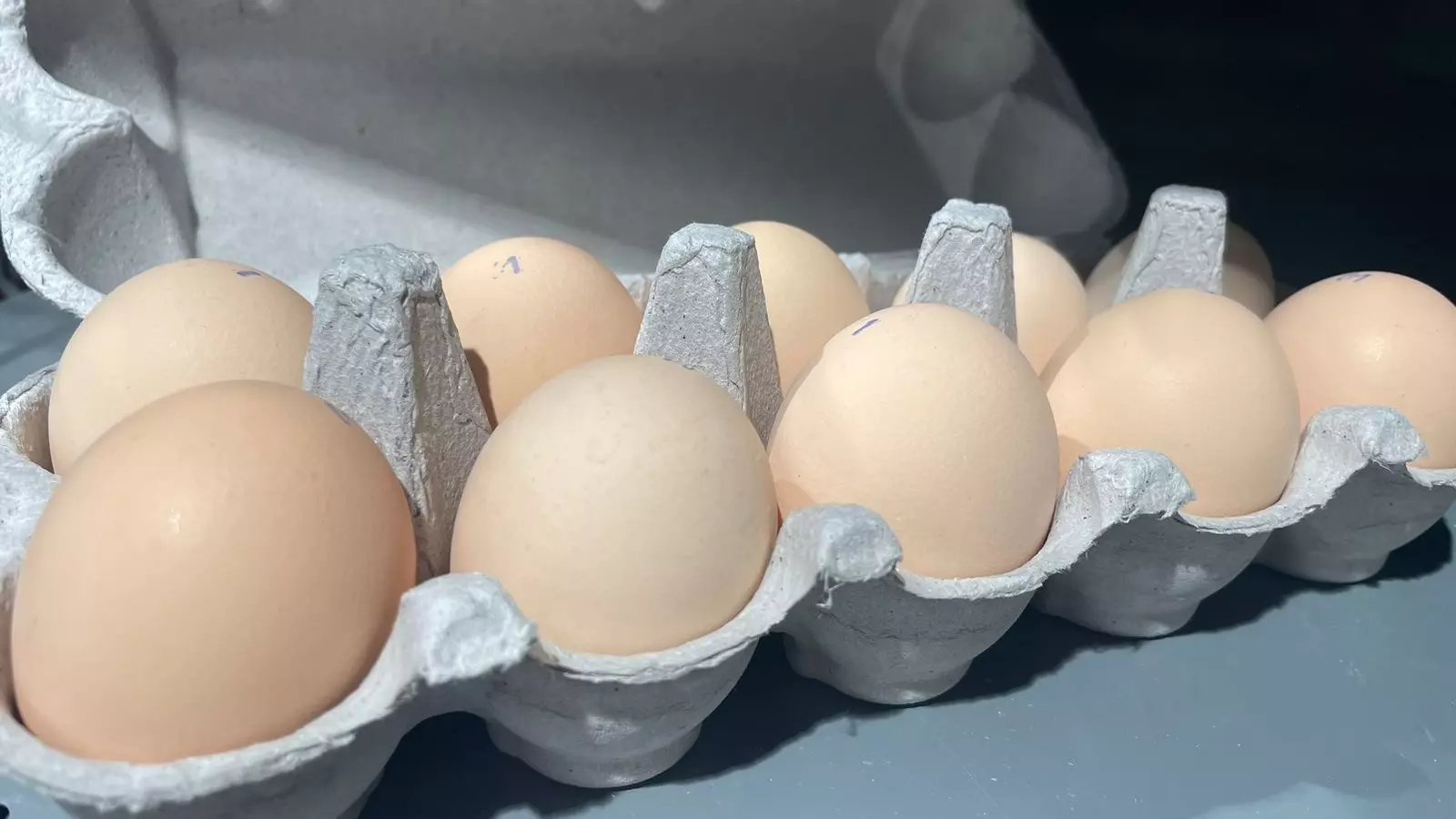 В Ростовской области назвали причину роста цен на яйца