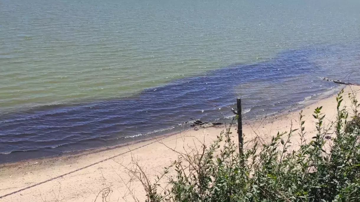 Черную неизвестную субстанцию у берегов Таганрогского залива заметили в районе села Новобессергеневка 5 мая