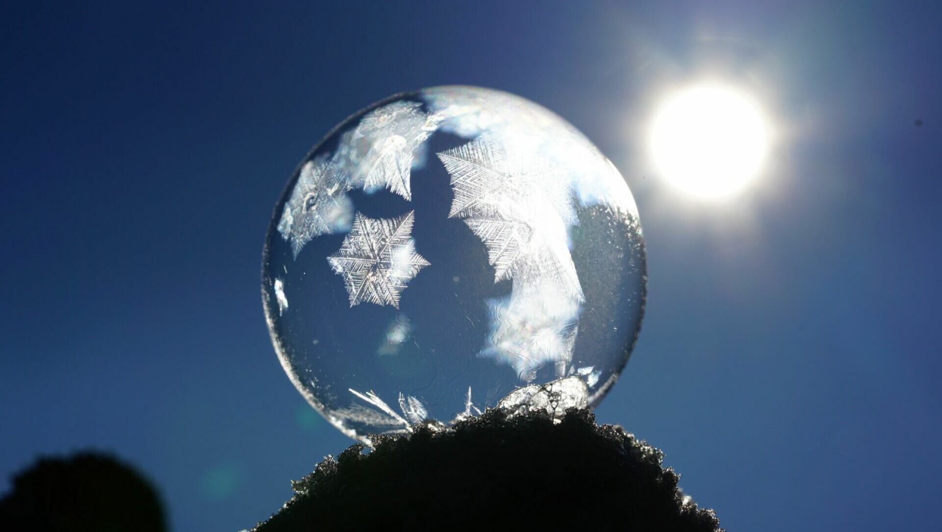 В Ростовской области ожидаются заморозки до — 6 градусов с 1 по 3 ноября
