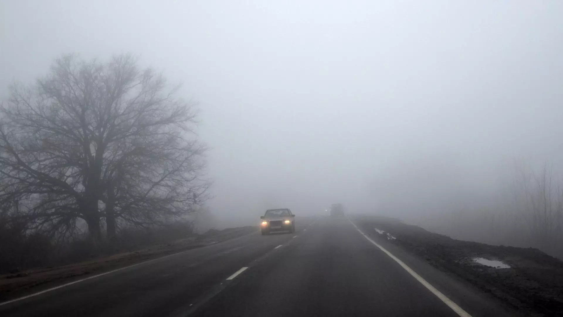 Водителей в Ростовской области предупредили об опасностях из-за тумана