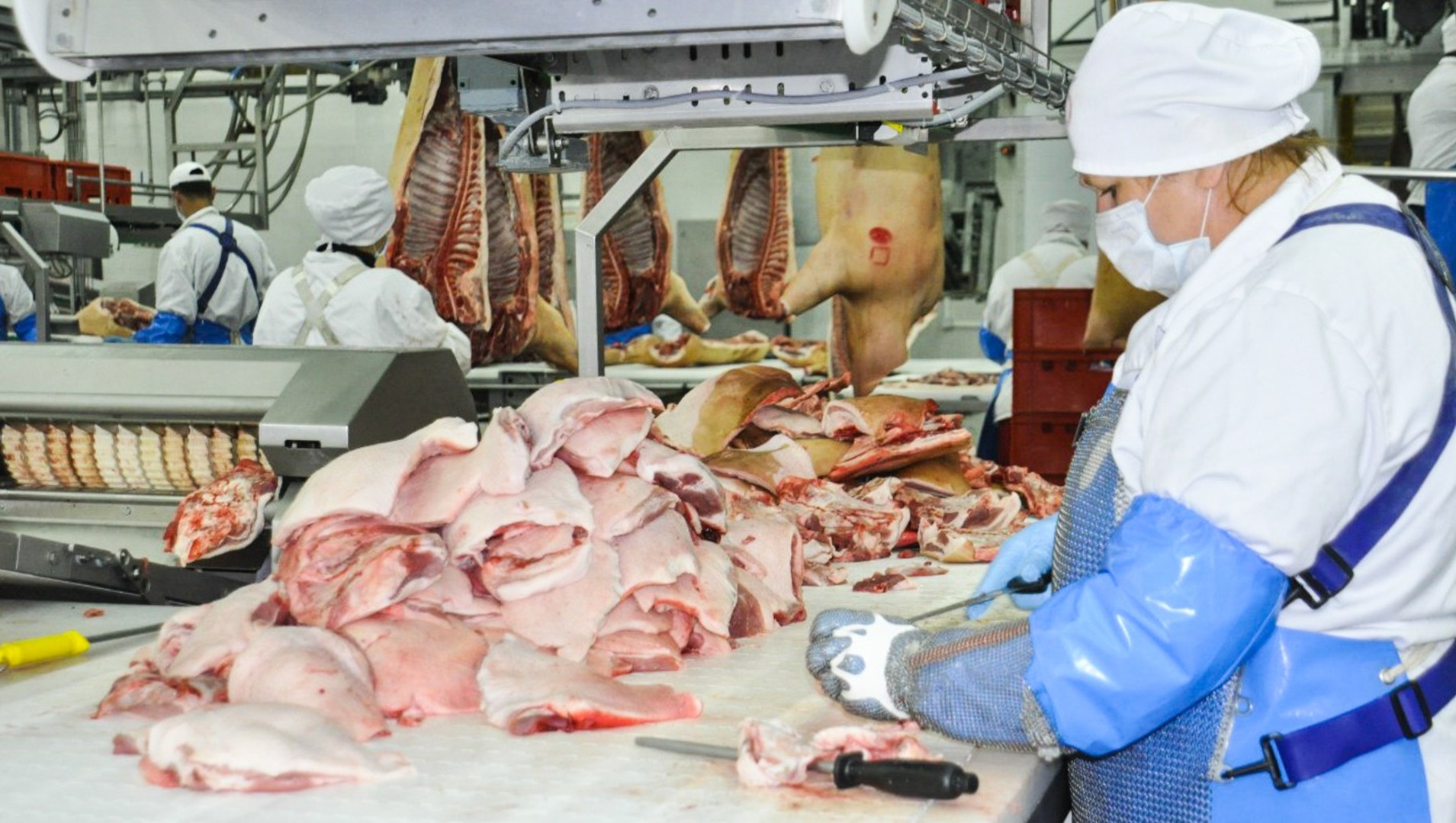 В Ростовской области цены на свинину и курицу за месяц подскочили почти на 20 рублей