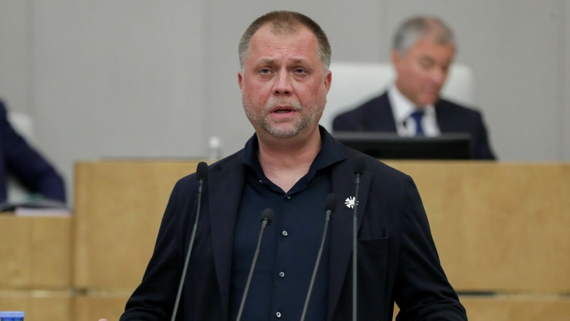 Ростовский депутат Госдумы Бородай предложил отдать дом Аллы Пугачевой под санаторий