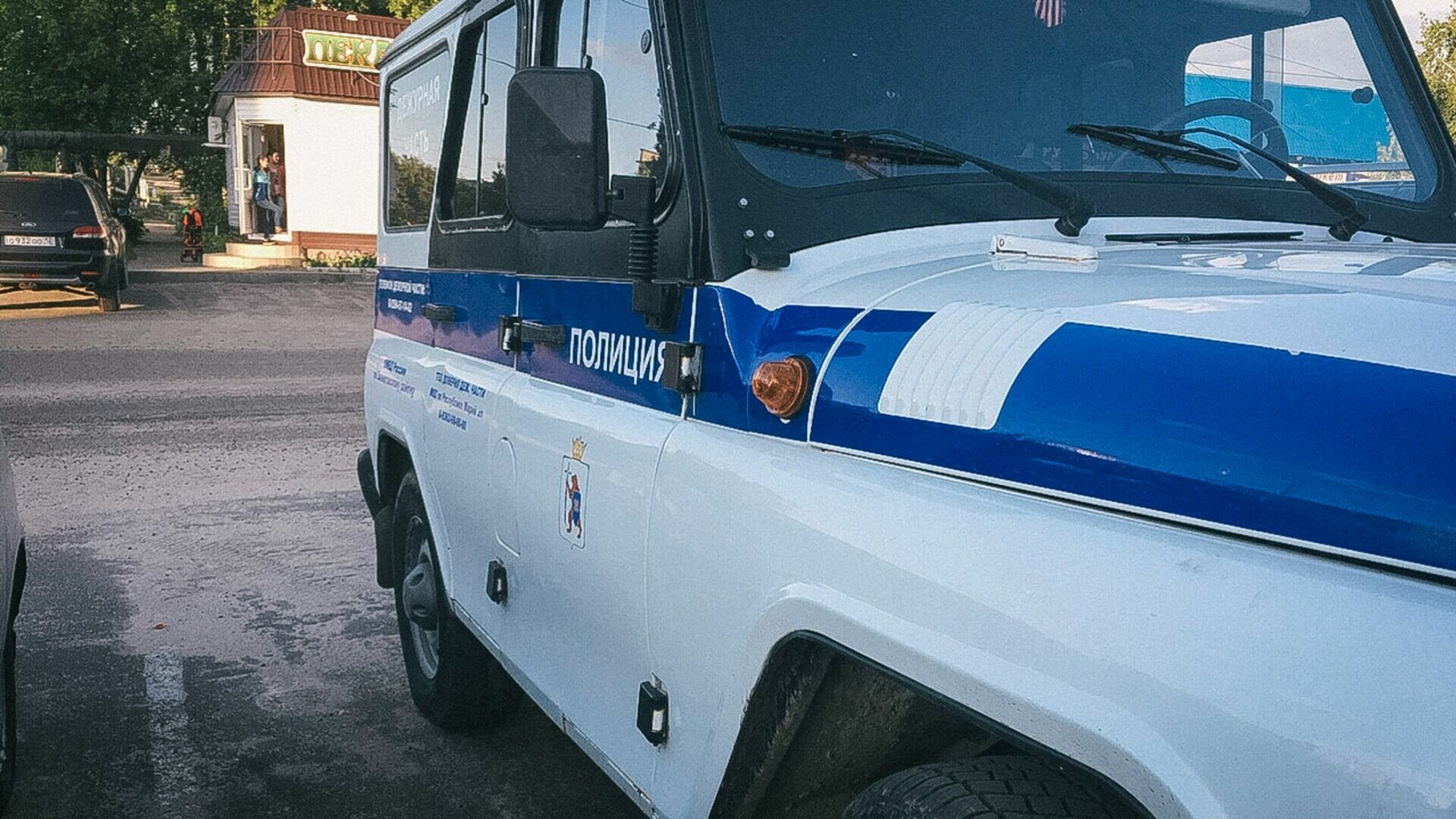 В Волгодонске женщина бросилась под машину полиции, пытаясь освободить брата-дебошира