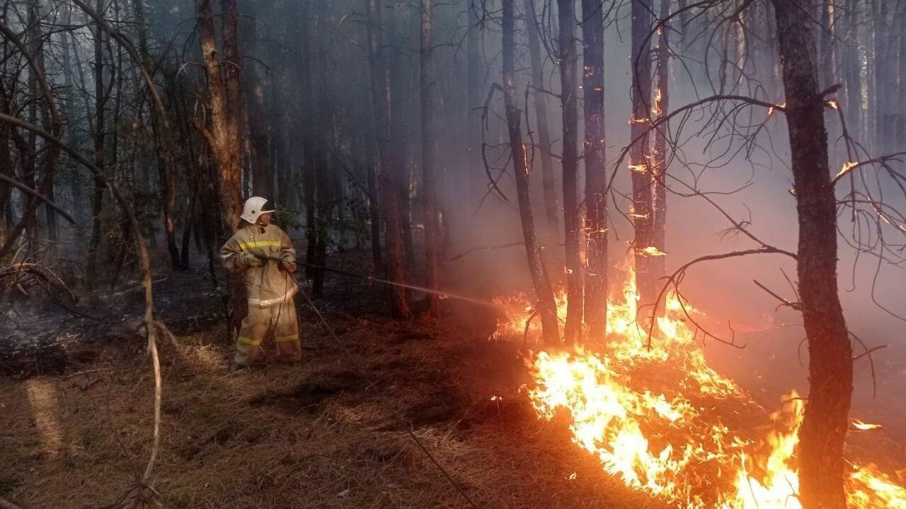 Специальную группировку для тушения лесных пожаров создали в Ростовской области