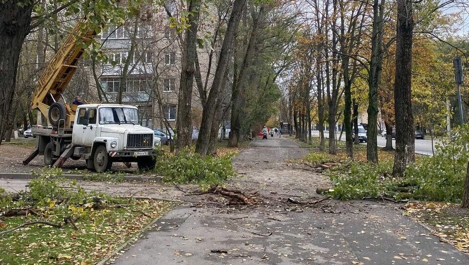 Срезанные коммунальщиками огромные ветки падают рядом с детьми в Ростове-на-Дону