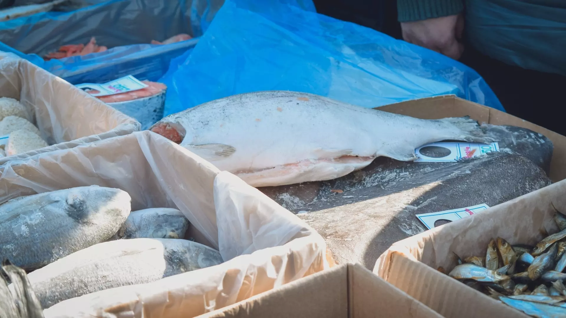 На сколько подорожали рыба и морепродукты в Ростовской области