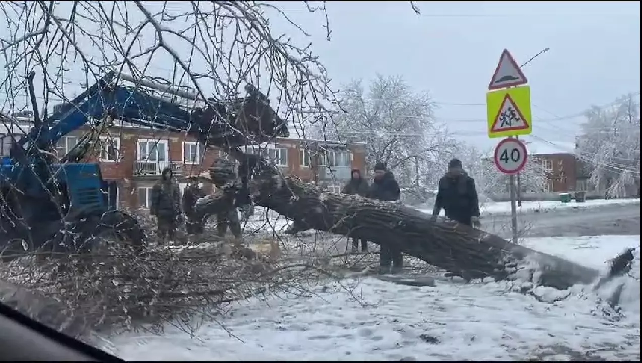 Климатолог Иошпа рассказал, кто назвал «Ольгой» бушующий в Ростовской области циклон