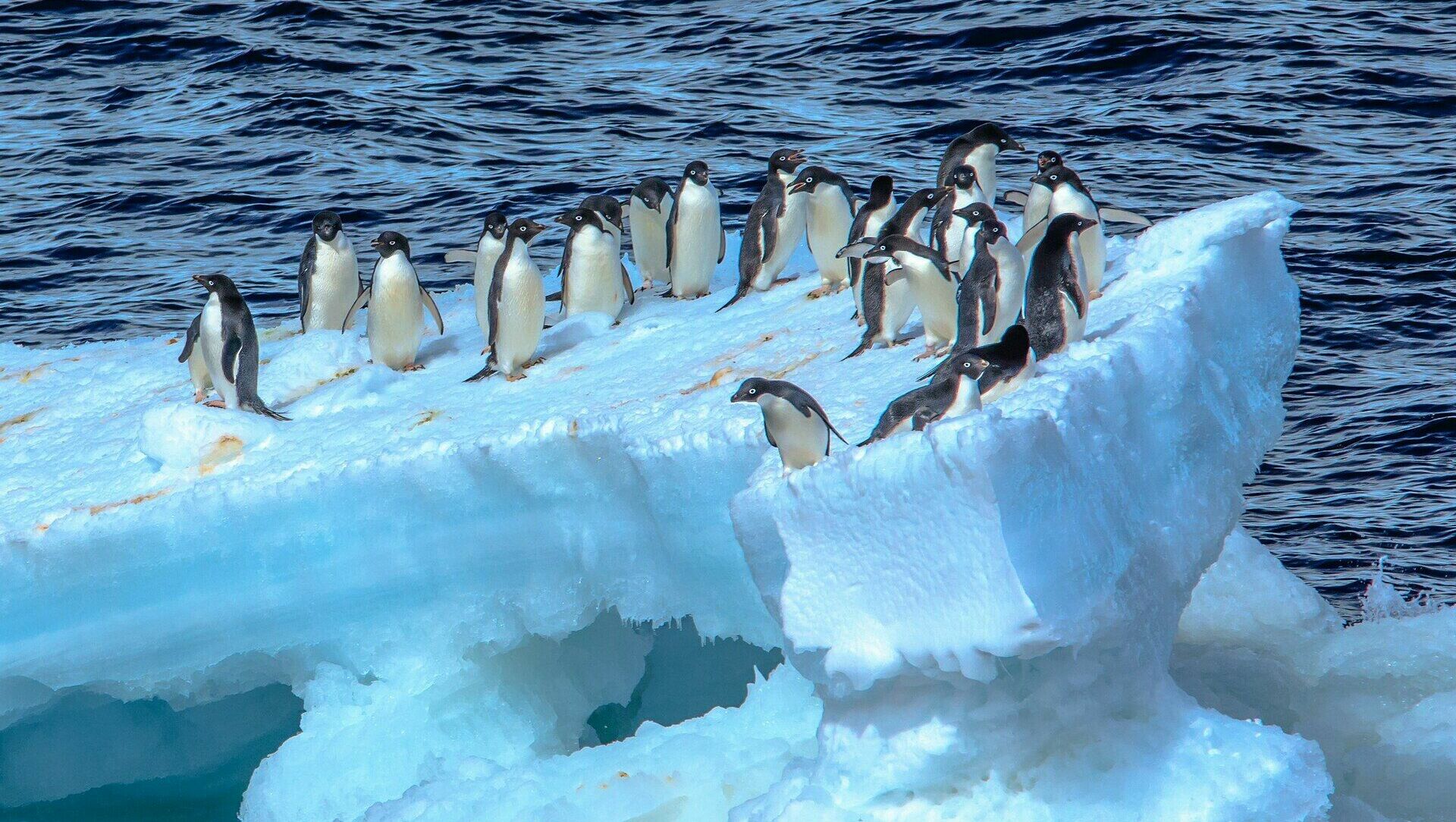 Таяние «ледника Судного дня» в Антарктиде угрожает Ростову