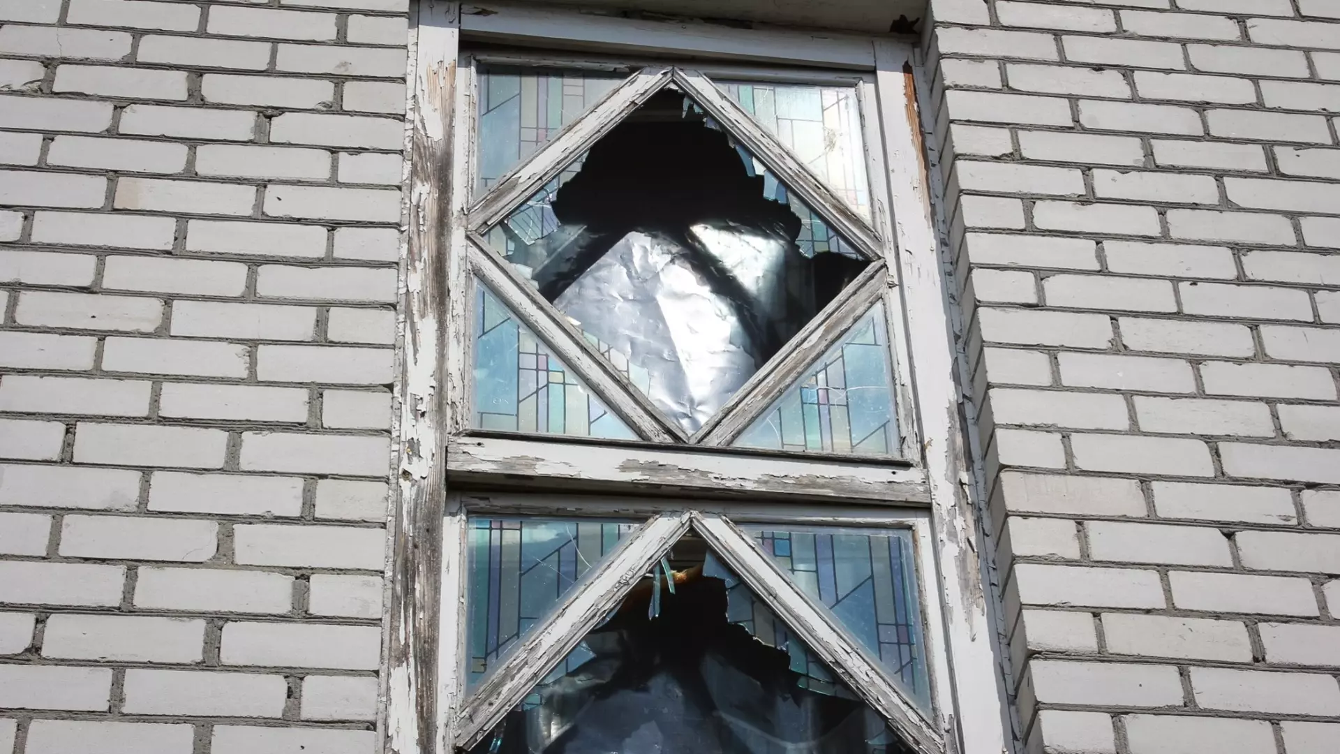 В Ростове на Немировича-Данченко  аварийное дерево рухнуло на многоэтажный дом