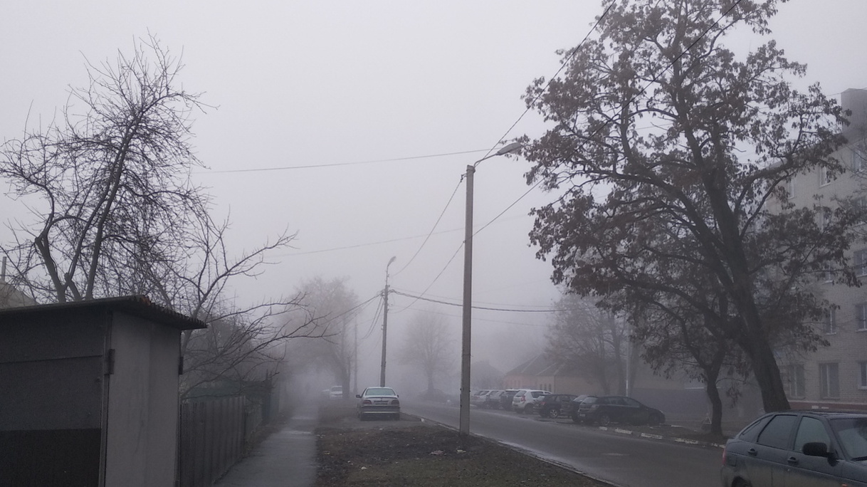 Предупреждение объявлено в Ростове из-за тумана