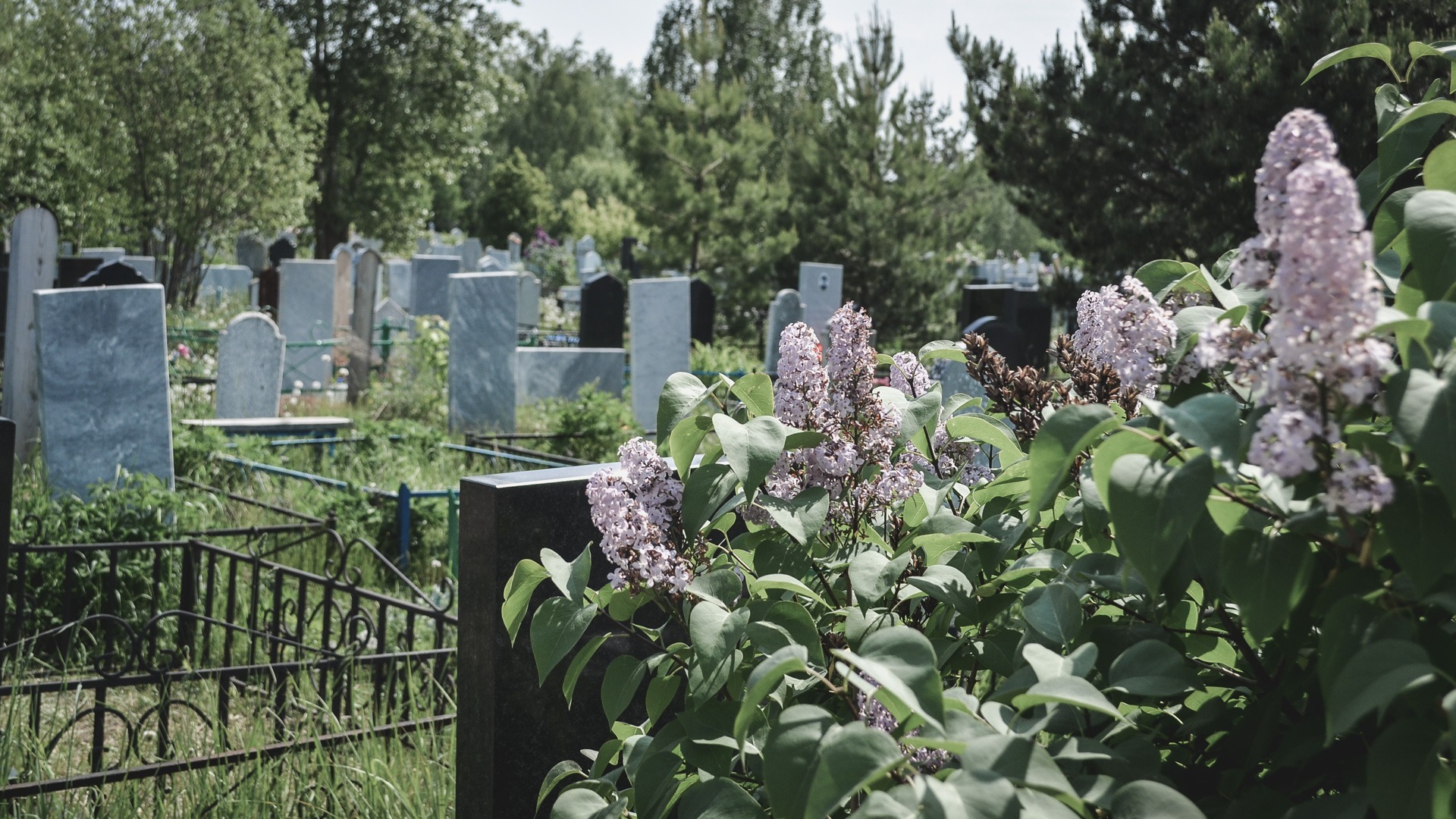 За взятки и «крышевание» похоронщиков осудят замначальника ОП Волгодонска Панарина