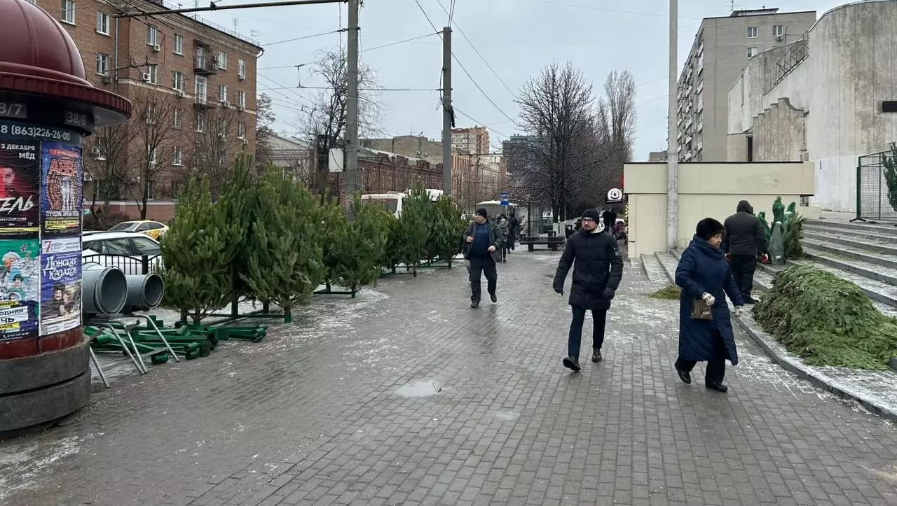 Где купить елку в Ростове и сколько они стоят: все адреса елочных базаров