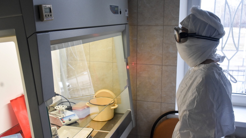 В Ростовской области проверят все лаборатории, выполняющие тесты на коронавирус