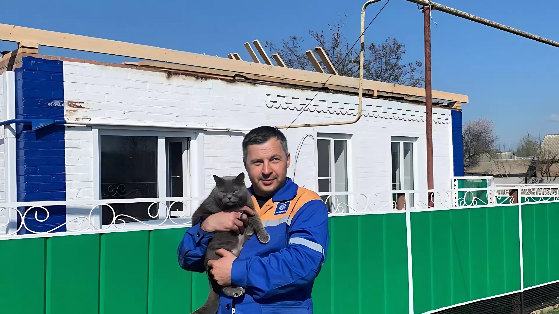 В Ростовской области кошка Марфа спасла от пожара хозяев и своих котят