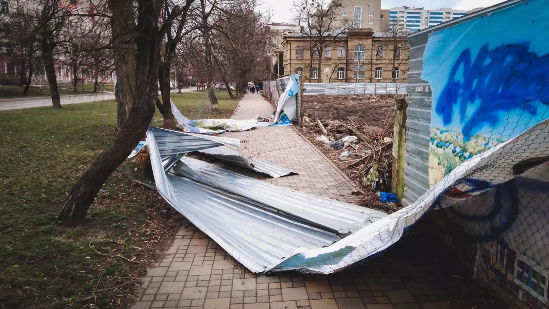 В Ростове из-за бушевания стихии повалены заборы, деревья и дорожные знаки