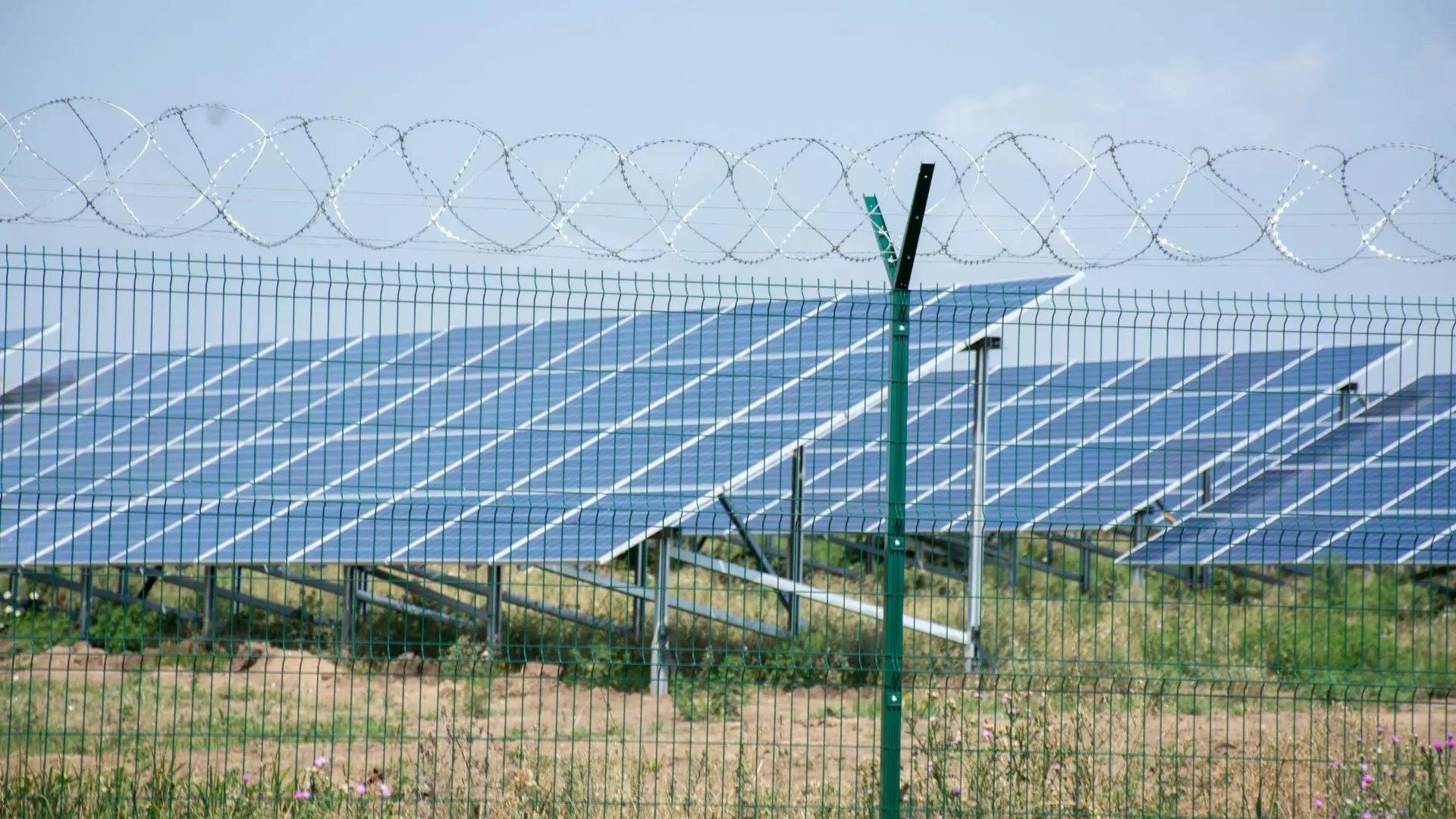 Unigreen Energy отложила строительство солнечной электростанции в Ростовской области