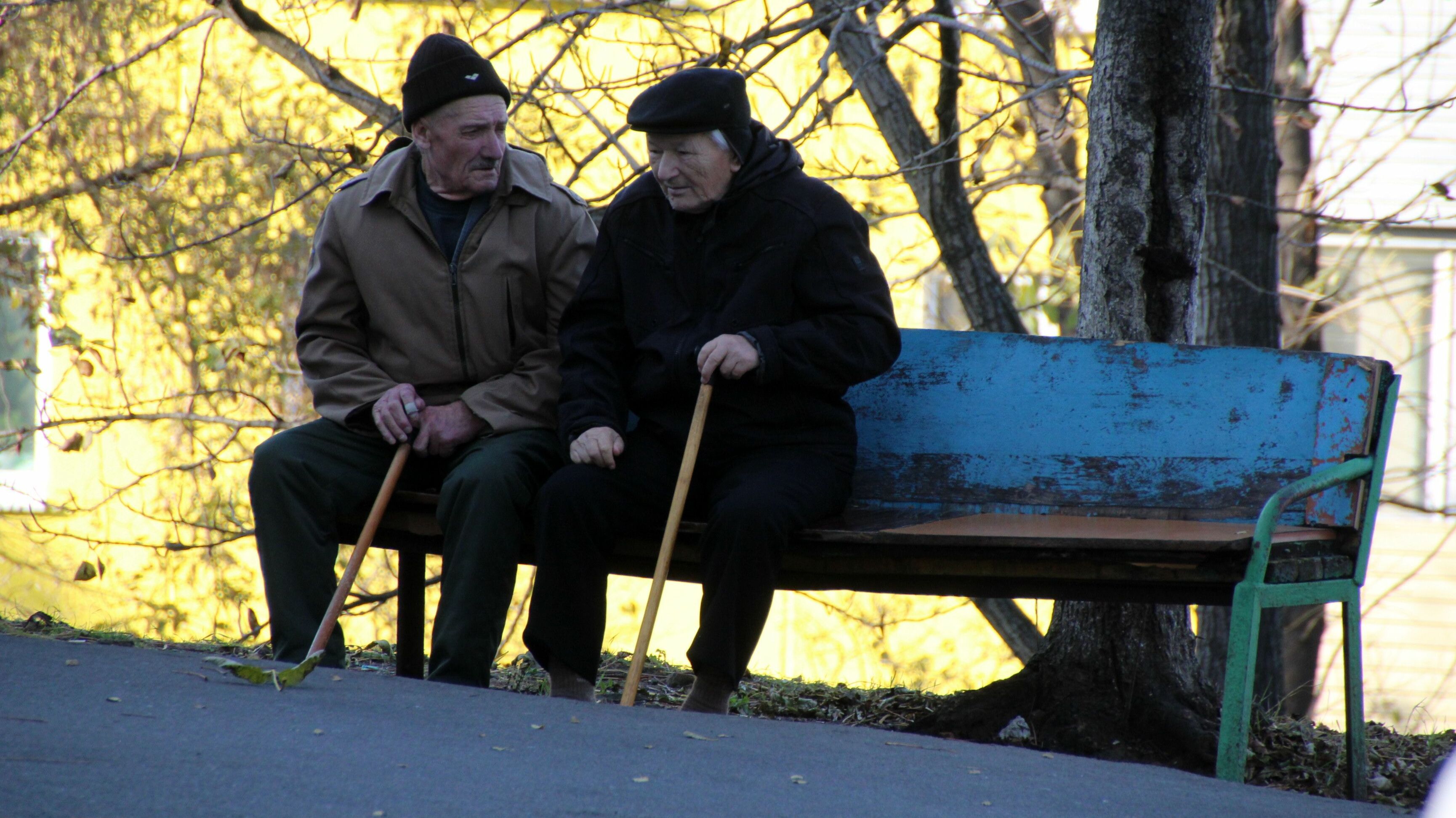 Россиянам рассказали о новых правилах получения пенсий