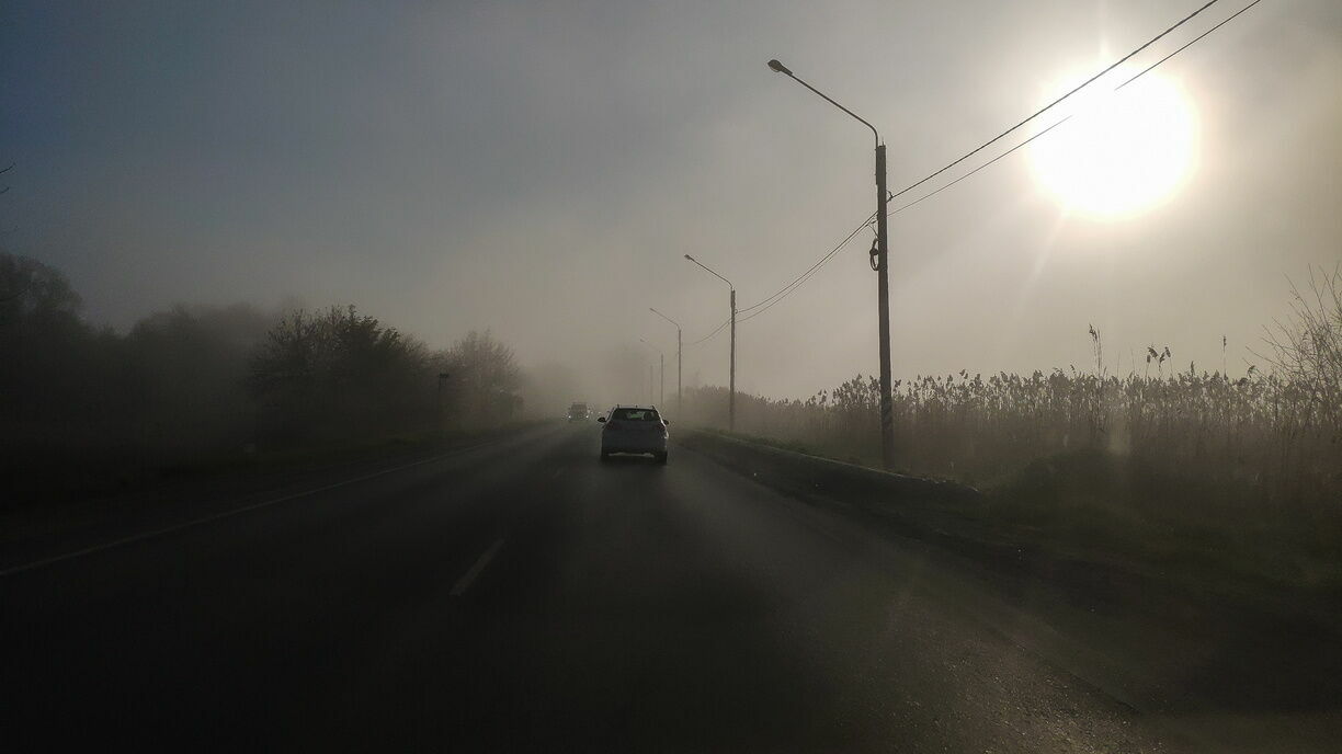 Дожди, туманы и потепление до +7°C ожидаются в Ростове-на-Дону с 30 января