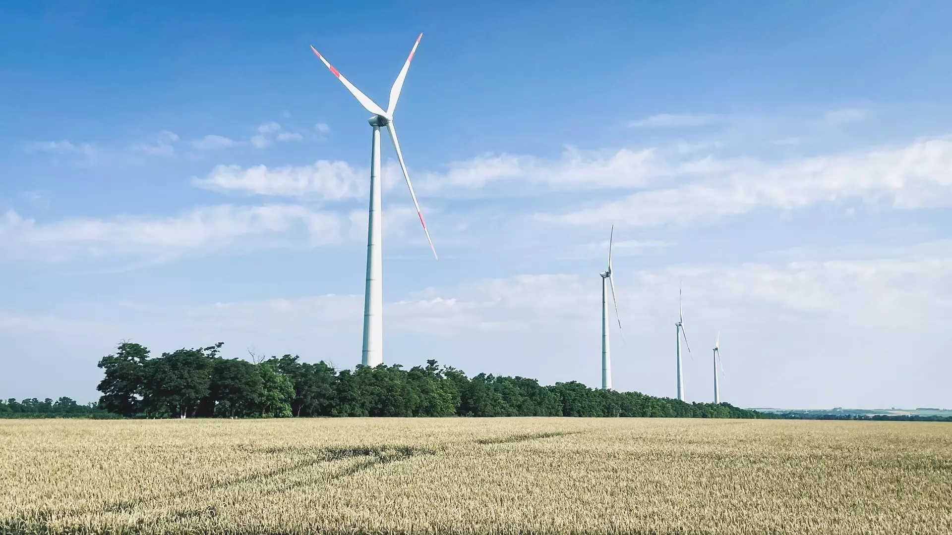 В Ростовской области к 2029 году построят ветропарки мощностью до 750 МВт