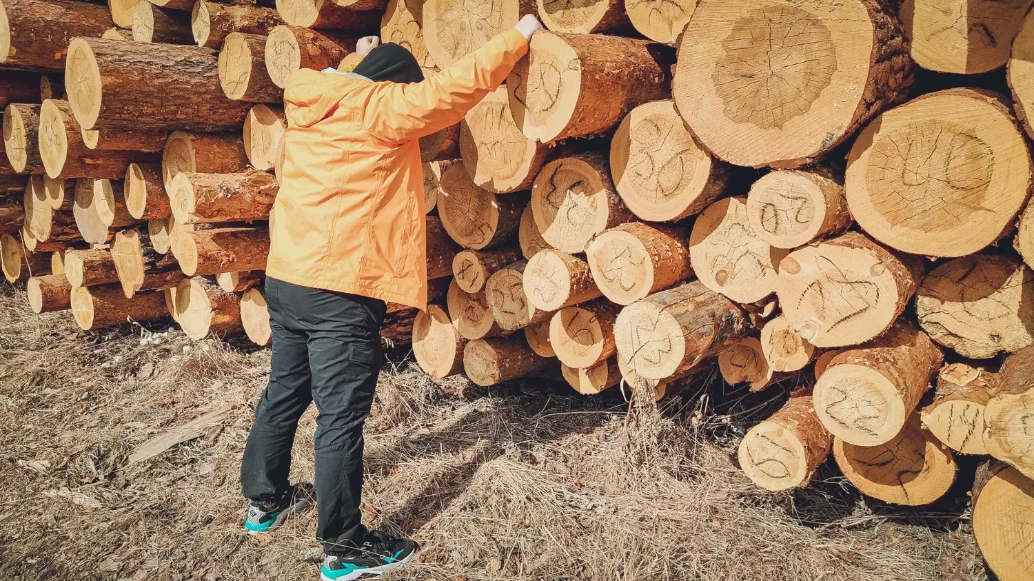 ООО «Русроял-Юг» торгует лесоматериалами, строительными материалами и санитарно-техническим оборудованием
