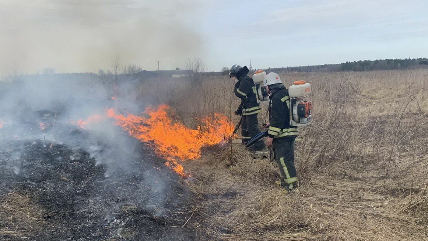 В Ростовской области ликвидировали 19 ландшафтных пожаров в марте