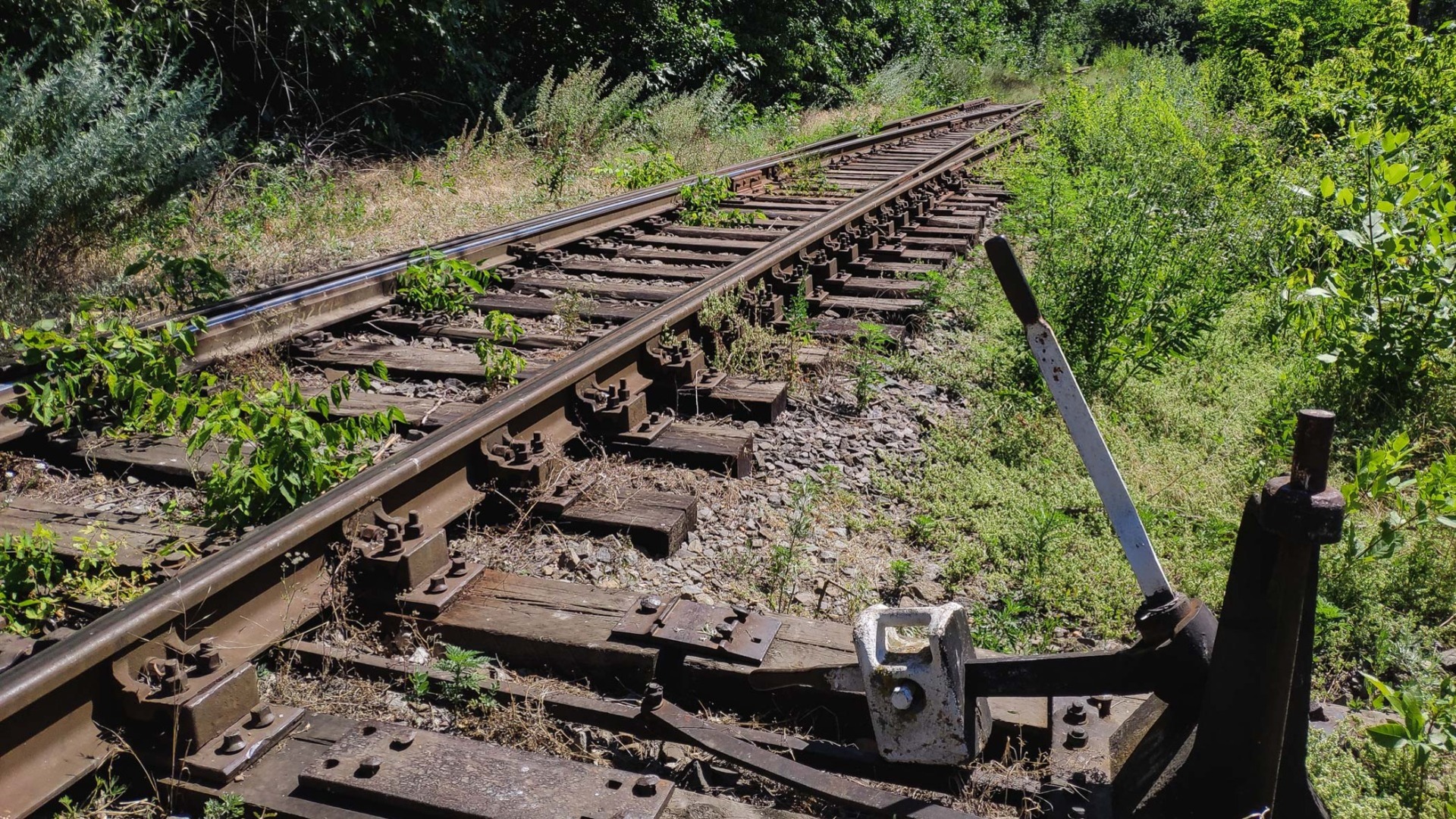 В Ростовской области пассажирский поезд насмерть сбил 24-летнюю дончанку