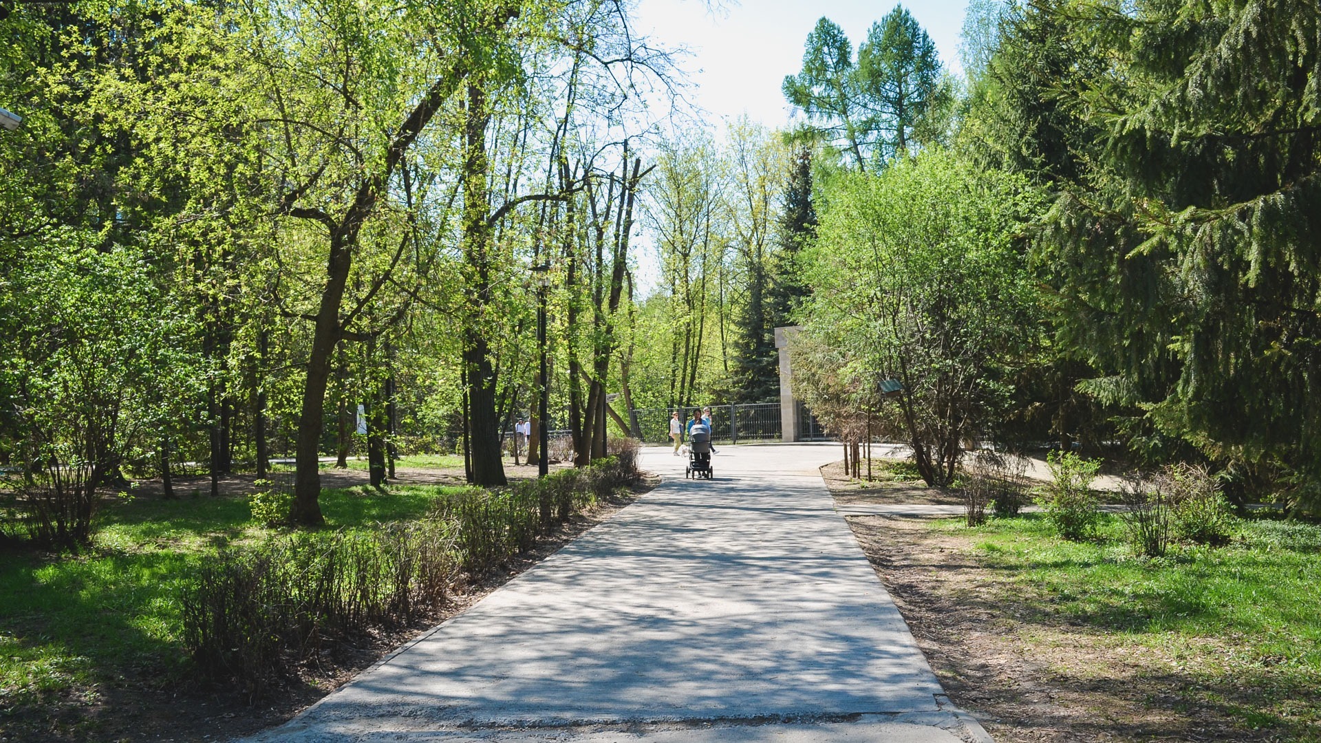 В Таганроге из-за клещей временно закроют для посещения три городских парка