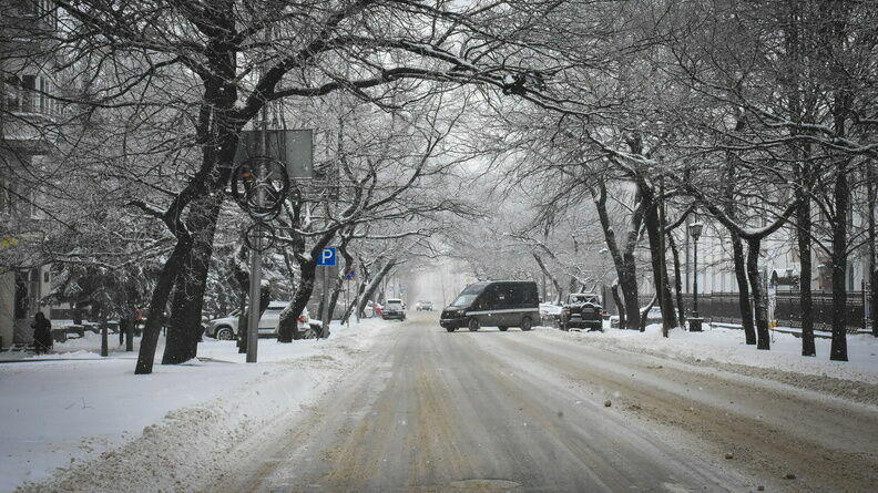 Ростовчане назвали аномалией выпавший 30 марта снег