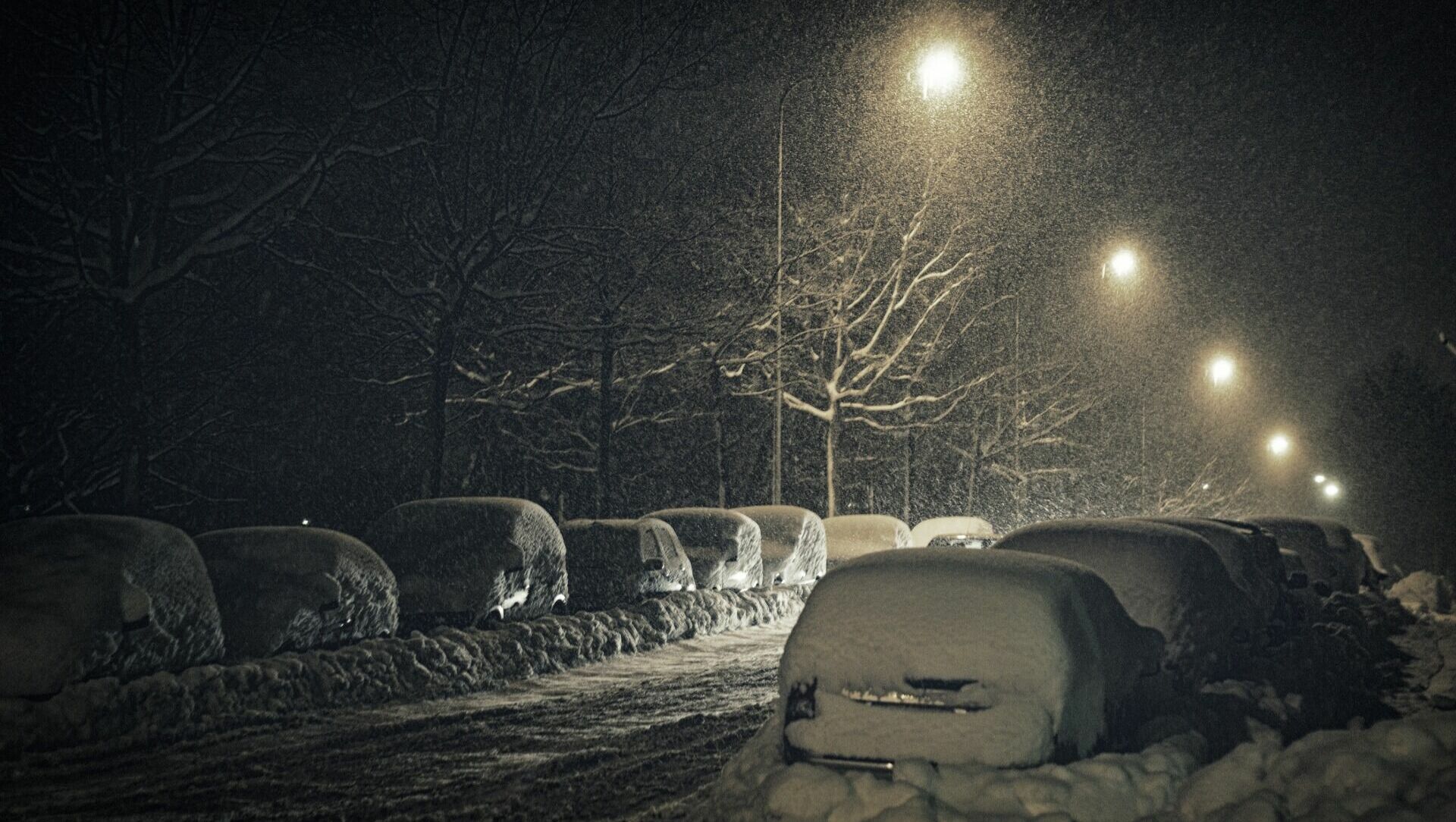 МЧС предупредили о мокром снеге и гололеде в Ростовской области с 6 по 11 января