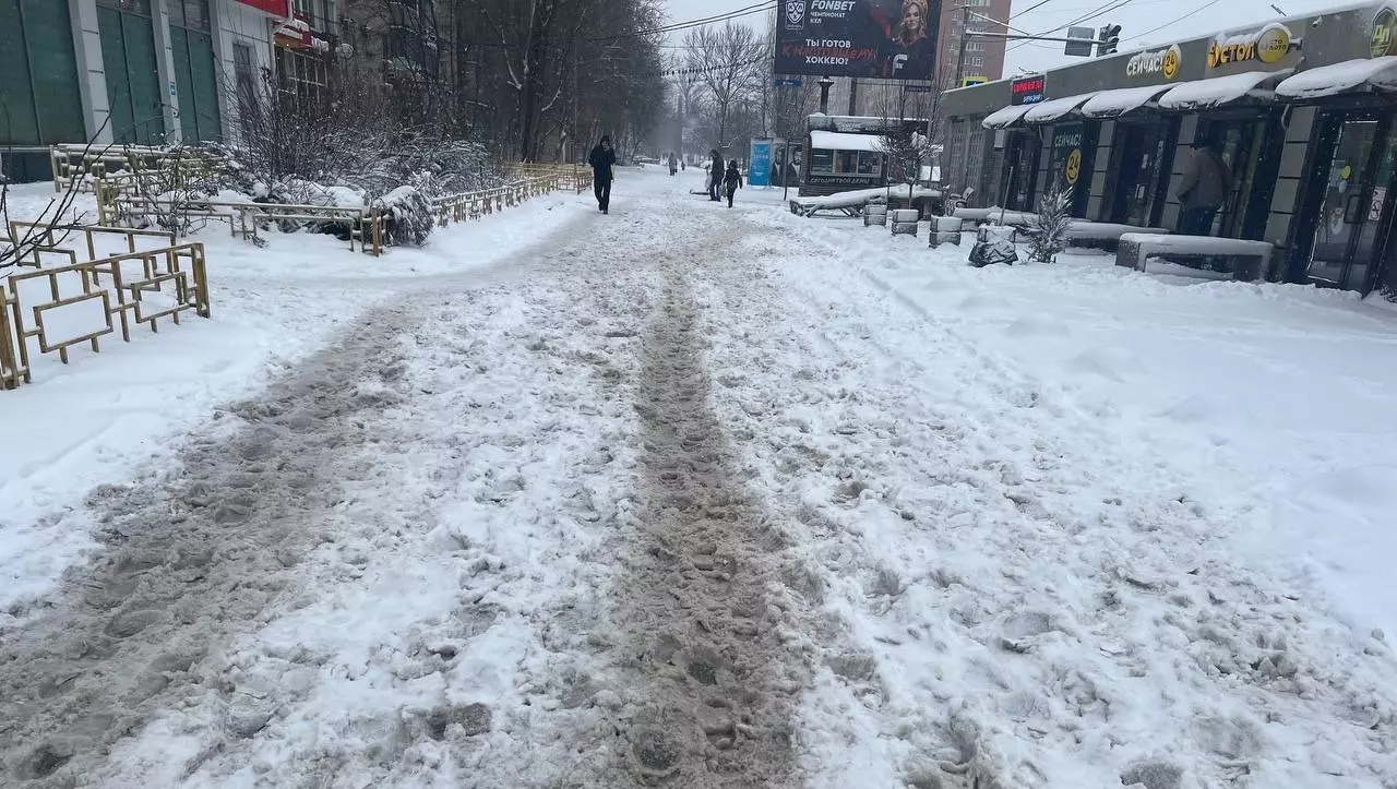 Снежный апокалипсис: страшную погоду принесут 25-градусные морозы в Ростов