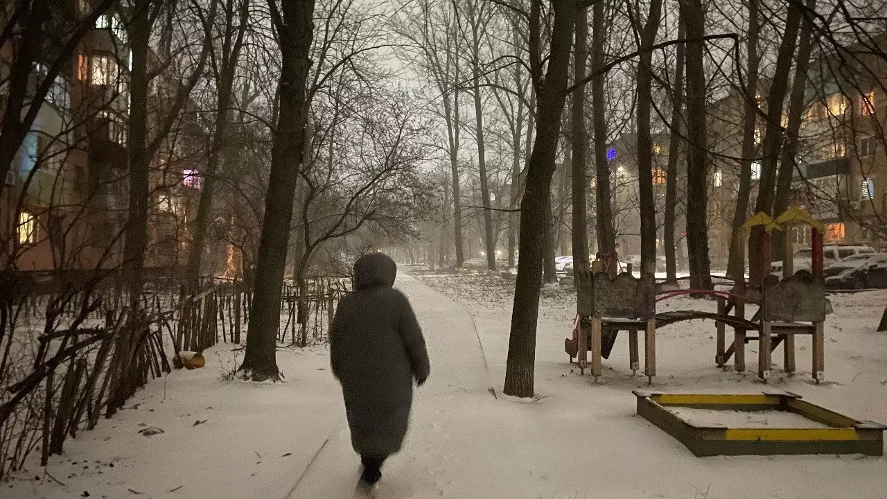 В Ростове жителям запретили гулять в парках из-за снегопада
