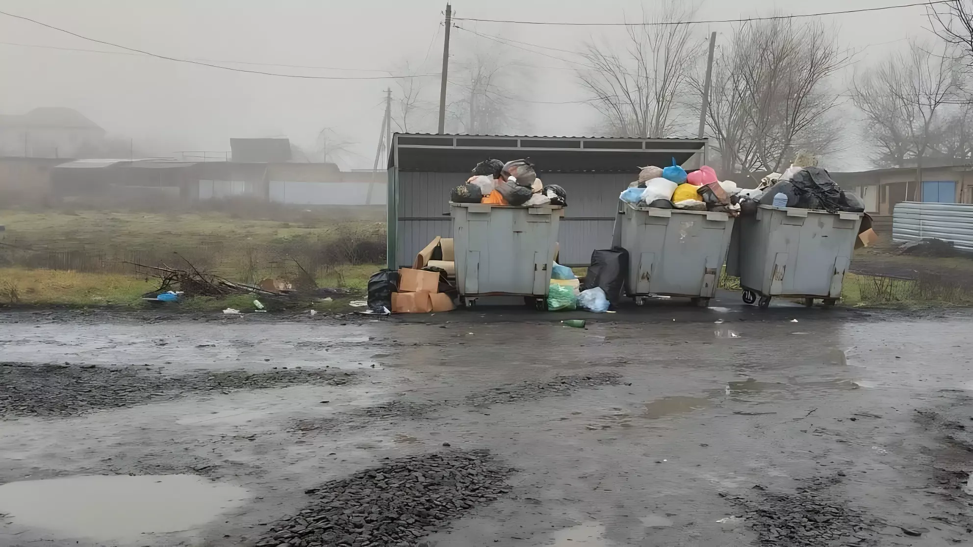 Жители Ростовской области провели новогодние праздники в горах мусора