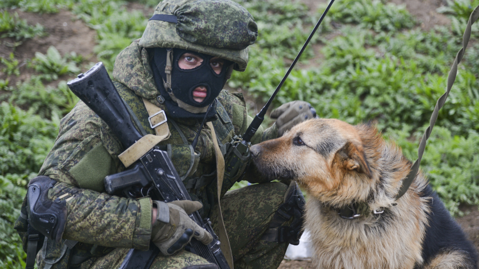 Ok google военные. Собаки на военной службе. Собаки на службе в армии России. Военный кинолог. Солдат с овчаркой.