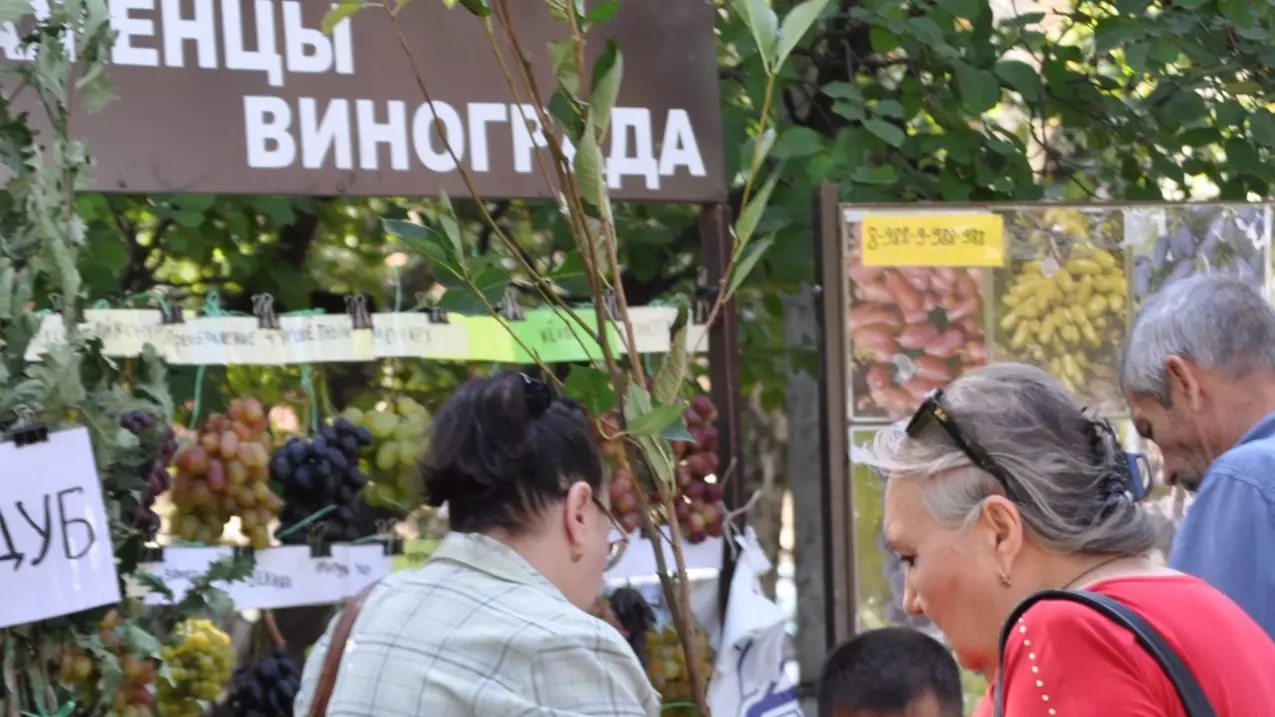 Осенняя «Феерия цветов» примет гостей в Ростове-на-Дону