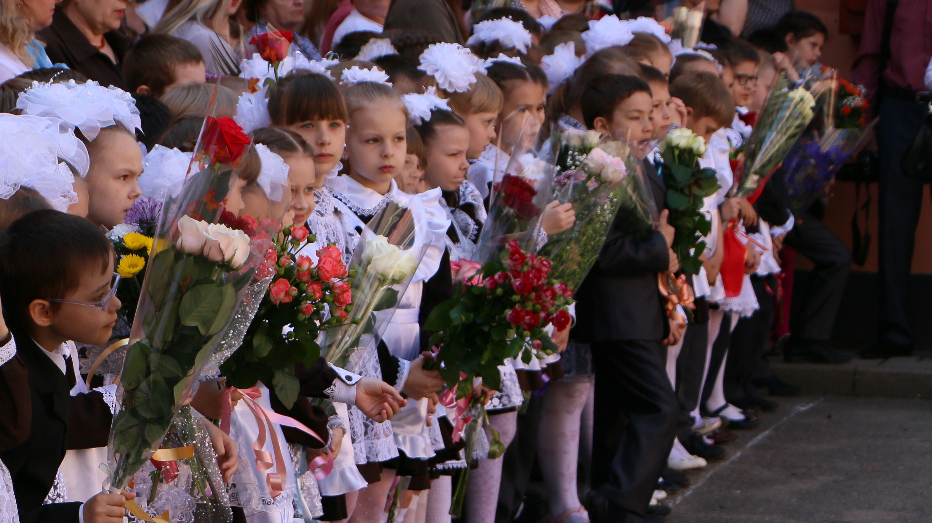 «Два ребенка в класс»: ростовчане обсудили, сколько беженцев пойдут в школы Ростова
