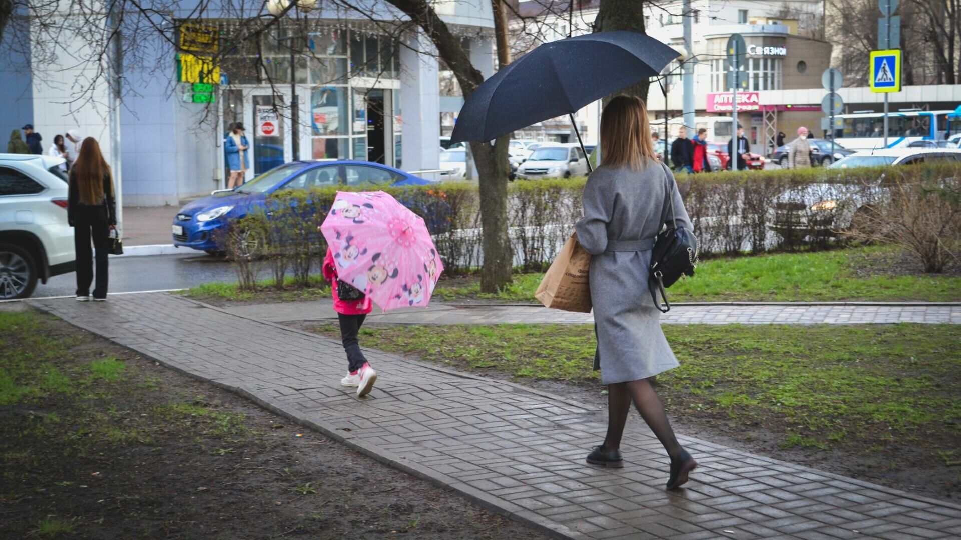Дожди обещают синоптики в Ростове в Вербное воскресенье 9 апреля