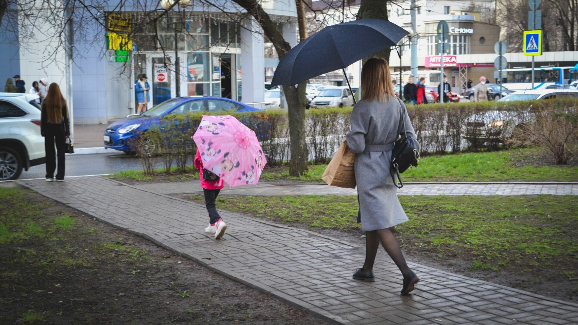 Жителей в Ростове-на-Дону предупредили о дожде днем 17 ноября