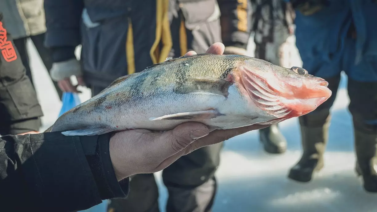 Рыбак в Ростовской области за несколько часов наловил рыбы на 150 тыс рублей