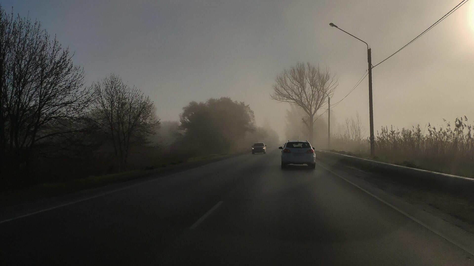 Водителей Ростовской области предупредили о сильном тумане на дорогах