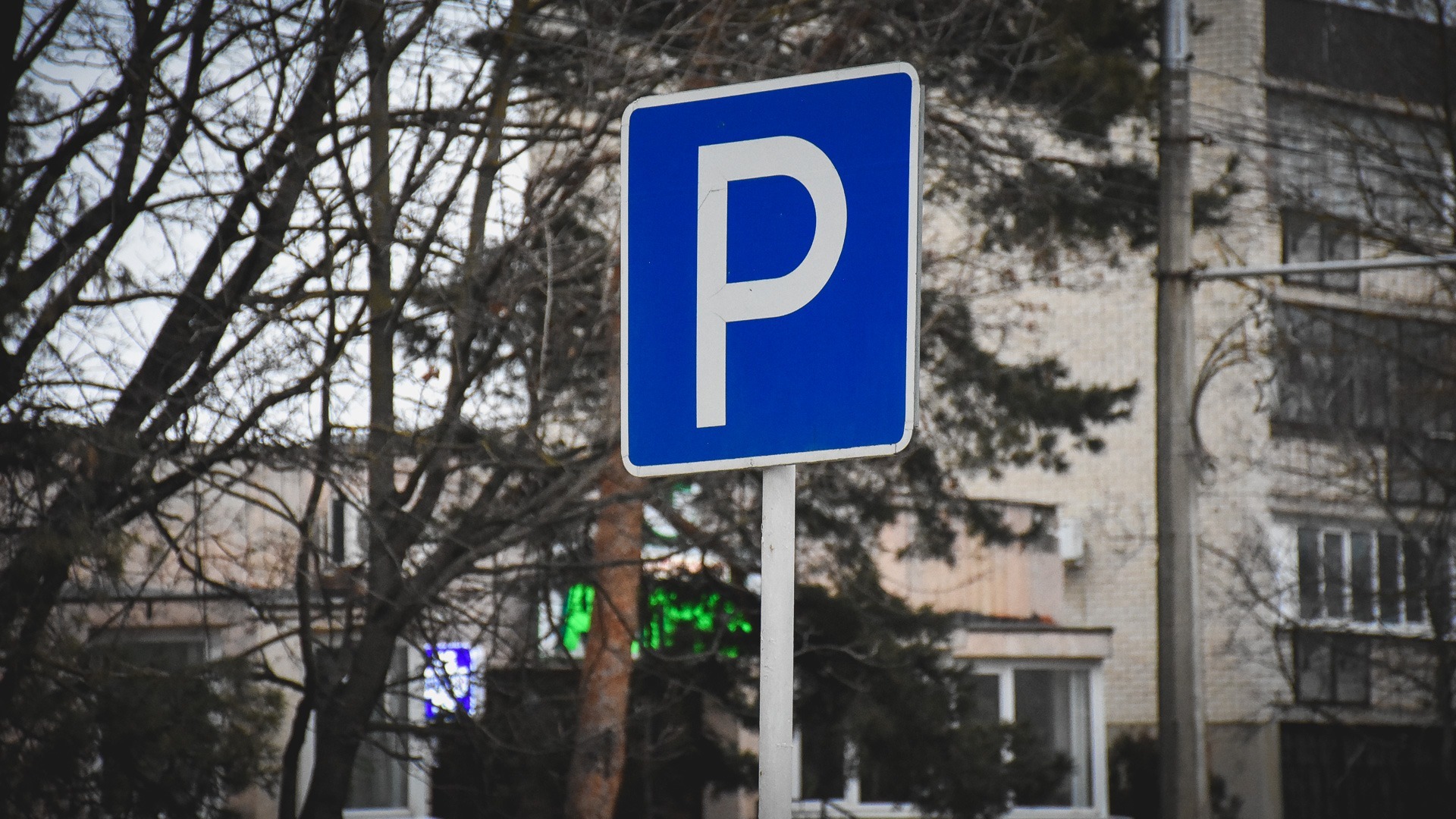 В центре Ростова сдадут в аренду участок под роторную парковку