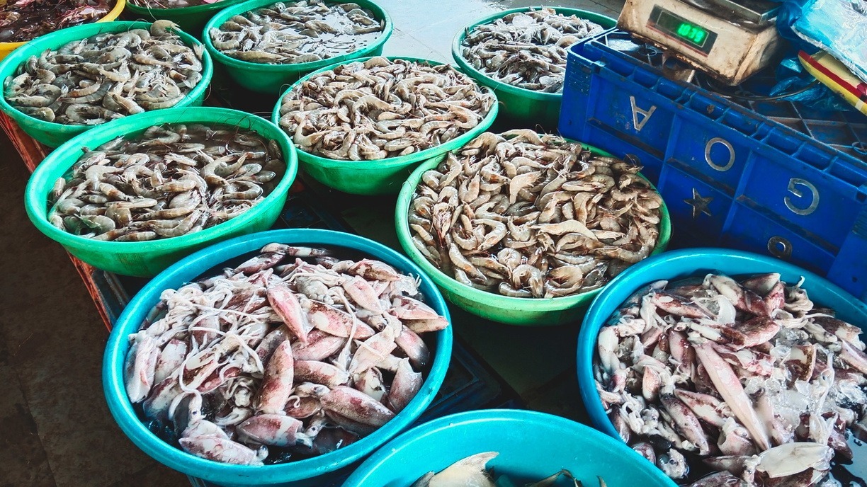 Genotek и школьники обнаружили среди рыбной продукции фальсификат