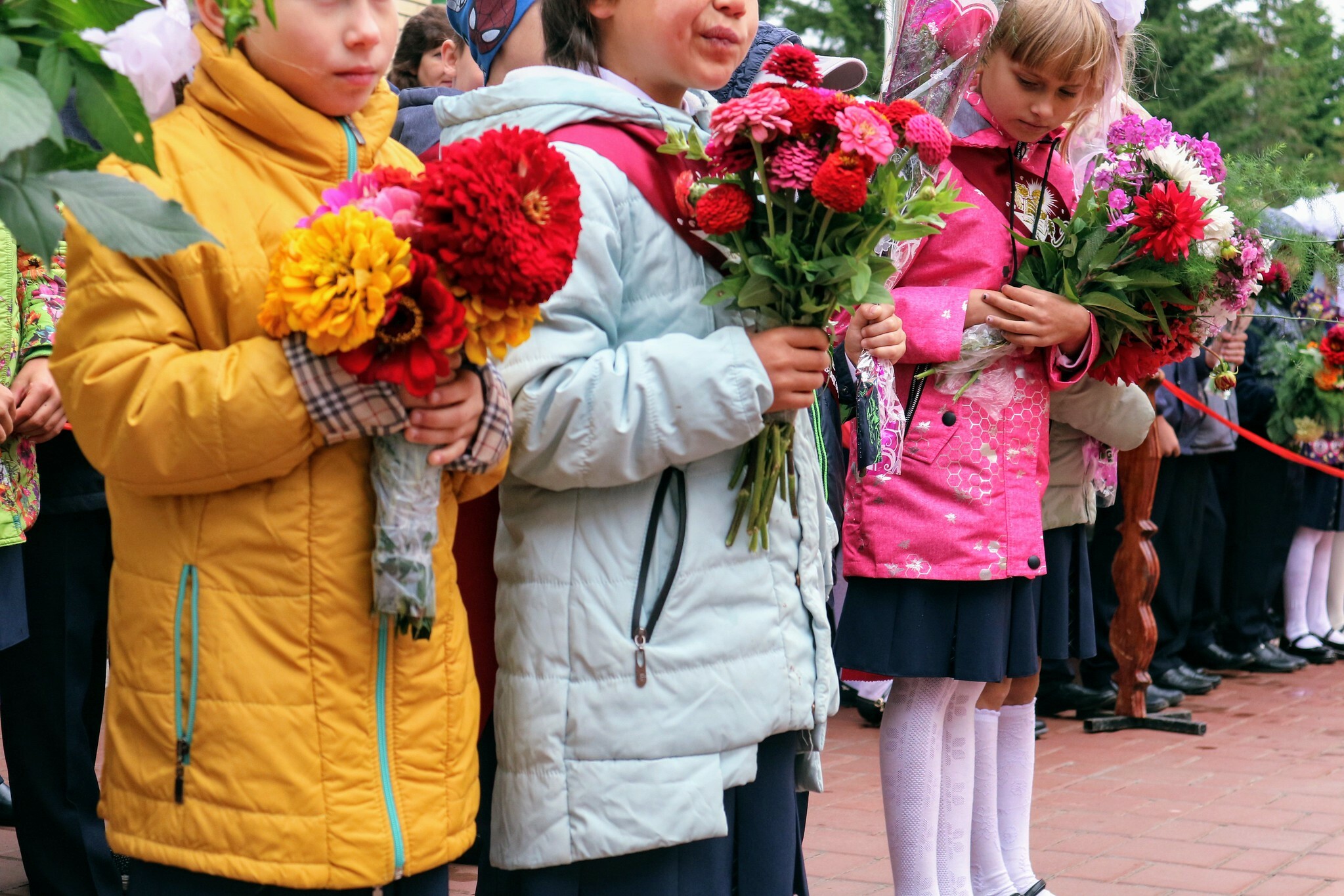 С 1 апреля 2022 года запись в школу в Ростове