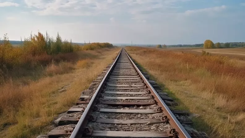Власти в Ростовской области пытаются продать железнодорожный тупик