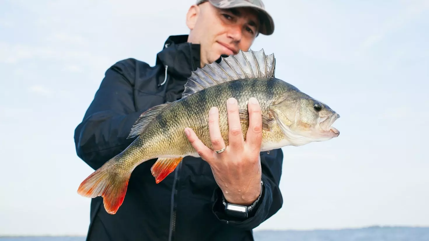Рыбак нашел место, где рыба в Ростовской области клюет вообще на все