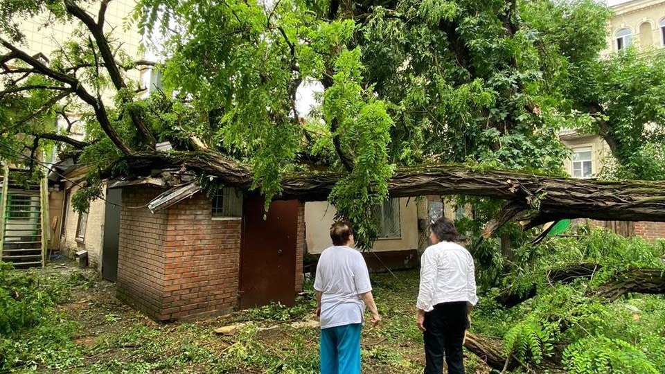 Обрушившееся дерево проломило крышу жилого дома в Ростове на Шаумяна