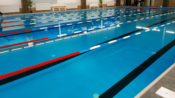 Физкультурный центр с бассейном в Ростовской области построят за 300 млн рублей
