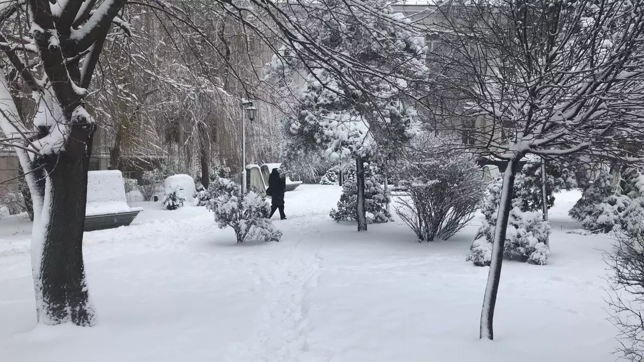 Климатолог Иошпа предупредил о надвигающемся холоде и снеге в феврале в Ростове