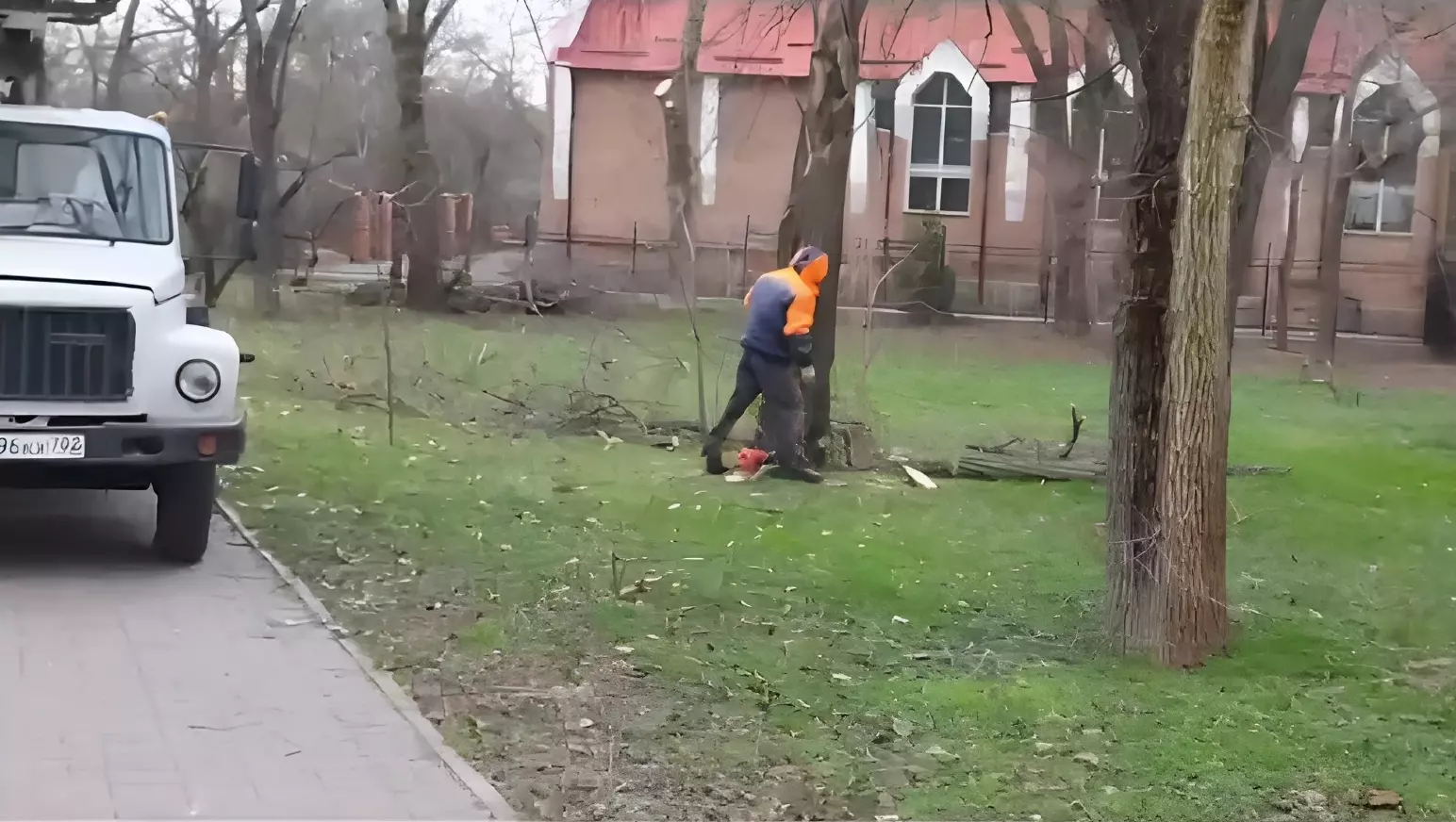 Стали известны подробности уничтожения деревьев в парке Чуковского в Ростове
